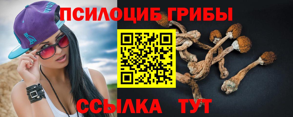 Киселёвск  Псилоцибиновые грибы ЛСД  Вход с VPN 